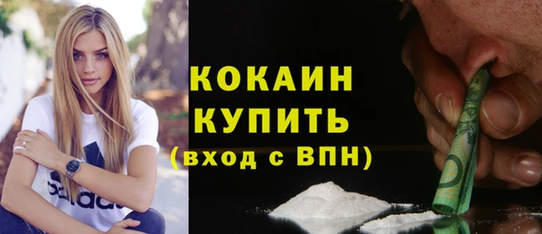 трава Корсаков