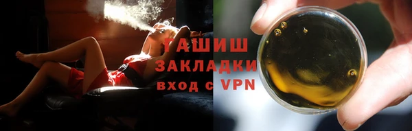 дмт Краснослободск