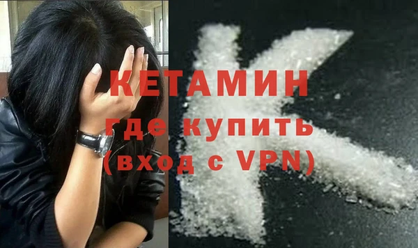 трава Корсаков