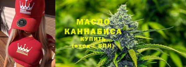 трава Корсаков
