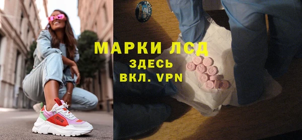 трава Корсаков