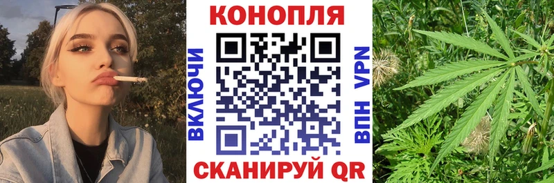 Купить закладки  Торопец  Марихуана SATIVA & INDICA 